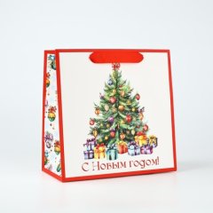Пакет бумажный "Новый год" 22х22х11 см 10343756