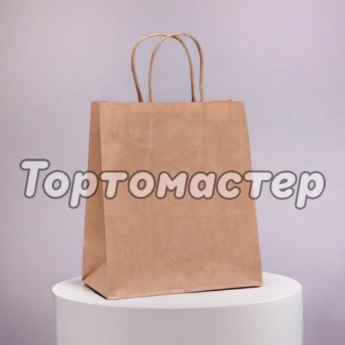 Пакет бумажный с ручками Крафт 22х12х25 см 1263050